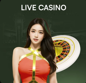 2026年4月1日国际友谊加拿大vs突尼斯直播【24直播网】